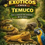 Exóticos Chile en Temuco