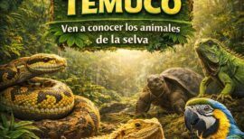 Exóticos Chile en Temuco