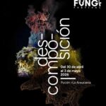 Festival Reino Fungi en Pucón