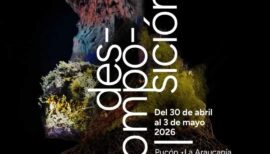 Festival Reino Fungi en Pucón