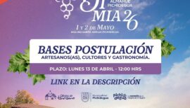 Vendimia de Almahue en Pichidegua