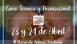 Fiesta de la Castaña El Carmen en Santiago