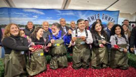 Encuentro del Cranberry en Lanco 2026