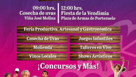 Fiesta de la Vendimia Portezuelo 2026