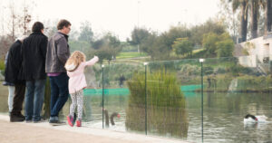 Una familia, compuesta por tres adultos y una niña pequeña con chaqueta rosada, observa a un grupo de cisnes de cuello negro en una laguna. La escena ocurre en el Parque Bicentenario de Vitacura, un panorama ideal para quienes buscan qué hacer cuando son las vacaciones de invierno 2026 en Chile.