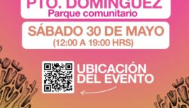 1era Versión de la Fiesta del Changle en Puerto Domínguez