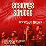 Sesiones Sónicas Wawqui Trewa en Vicuña