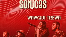 Sesiones Sónicas Wawqui Trewa en Vicuña