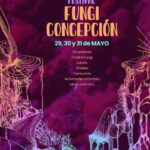 Festival Fungi Concepción