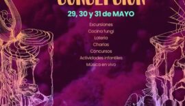 Festival Fungi Concepción