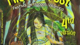 Micelio Fest 2026