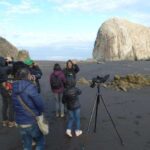 Día del Patrimonio 2026: Birdwatching en Constitución
