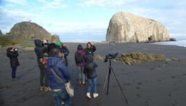 Día del Patrimonio 2026: Birdwatching en Constitución