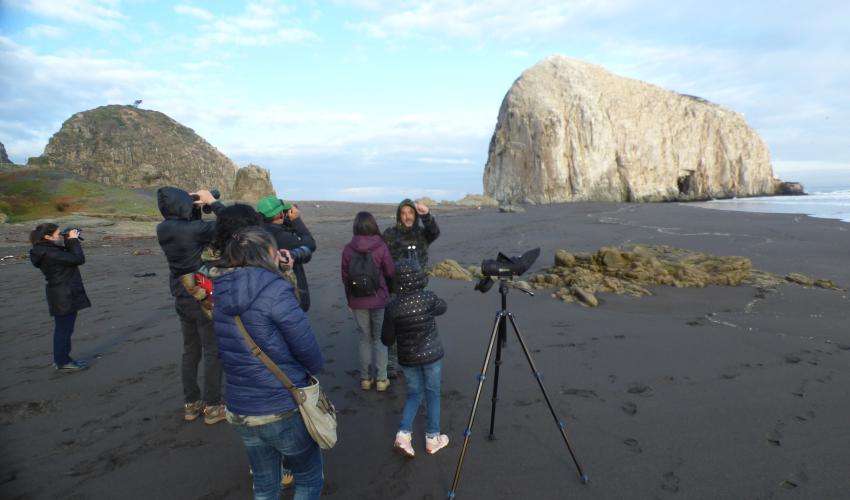 Personas participando en la observación de avifauna en Constitución.