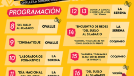 Festival Internacional Teatropuerto