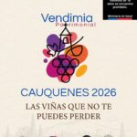 Vendimia Cauquenes 2026