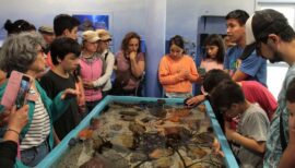 Visita guiada ECIM por el Día del Patrimonio