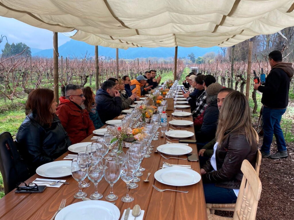 Un gran grupo de personas sentadas alrededor de una larguísima mesa de madera bajo un toldo blanco, disfrutando de un almuerzo en medio de los viñedos en otoño durante una de las paradas que ofrecen los trenes turísticos de EFE.