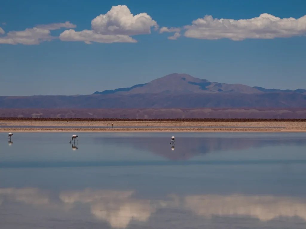 Flamencos caminan sobre la superficie reflectante en el Salar de Atacama, con el reflejo perfecto de las nubes y las montañas andinas en el agua.