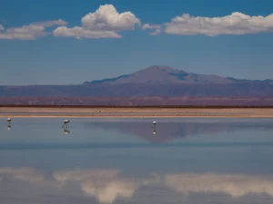 Flamencos caminan sobre la superficie reflectante en el Salar de Atacama, con el reflejo perfecto de las nubes y las montañas andinas en el agua.