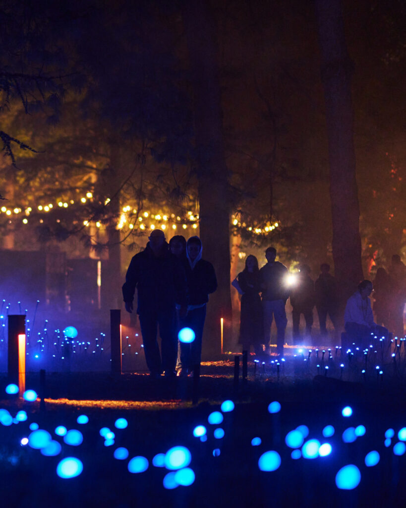Un grupo de personas realiza un paseo nocturno por un sendero iluminado del Parque Metropolitano de Santiago durante la experiencia interactiva Light Cycles. En primer plano se aprecian cientos de pequeñas esferas de luz azul brillante repartidas por el suelo del bosque. 