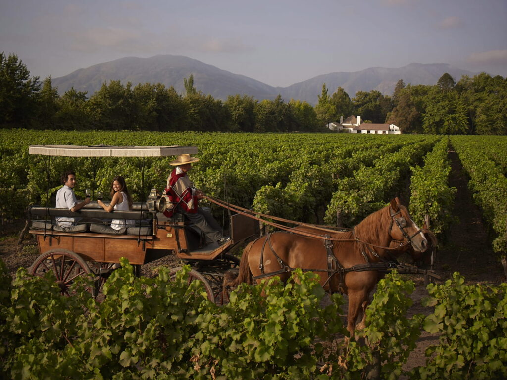 Una pareja sentada en la parte trasera de un carruaje de madera tirado por caballos con copas de vino tinto. El carruaje avanza junto a un extenso y verde viñedo, con una casa patronal blanca y grandes montañas bajo un cielo despejado al fondo, reflejando las experiencias del Valle de Colchagua incluidas en los trenes turísticos de EFE.
