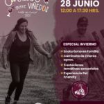 Caminando entre Viñedos en Viña Aresti