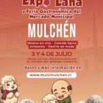 Expo Lana Mulchén