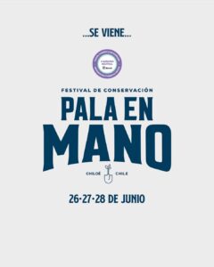 Festival Pala en Mano.