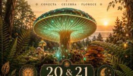 Festival del Solsticio Fungi Holístico