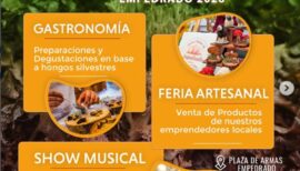 Fiesta del Hongo Silvestre 2026