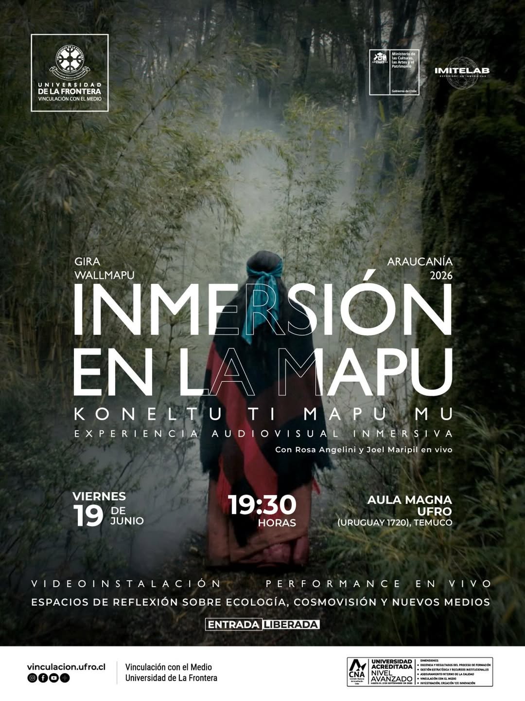 Afiche promocional Inmersión en la MAPU.