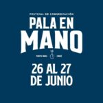 Festival Pala en Mano en Puerto Varas