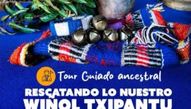 Wiñol Txipantu en Temuco: Tour guiado