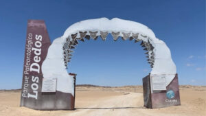 Arco de entrada con forma de mandíbula de tiburón del Parque Paleontológico Los Dedos, parada de la Ruta Patrimonial Litoral de Atacama en pleno desierto costero.