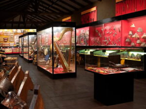Exposición interior del Museo Colchagua en Santa Cruz con grandes vitrinas iluminadas que exhiben instrumentos musicales típicos como arpas y guitarras, además de espuelas y aperos tradicionales de huaso.