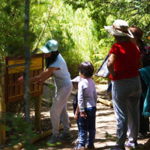 Una familia observando un panel informativo sobre flora y fauna junto al sendero del bosque nativo en Valle Las Trancas.