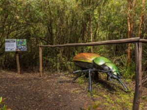 Réplica gigante de un insecto junto a un sendero interpretativo en el bosque nativo del Parque de Insectos Ishiku Lemu, cerca de Valdivia.