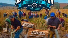 Fiesta Familiar del Camarón en Curepto