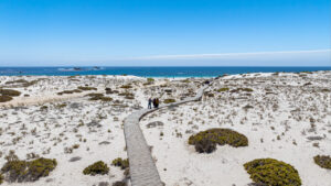Pasarela de madera elevada que serpentea entre dunas de arena blanca y matorrales costeros hasta la orilla del océano, con visitantes recorriendo el sendero en el Parque Nacional Llanos de Challe, uno de los tramos del día 3 del itinerario.