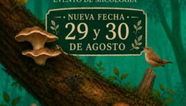 Micofest 2026 en Curicó