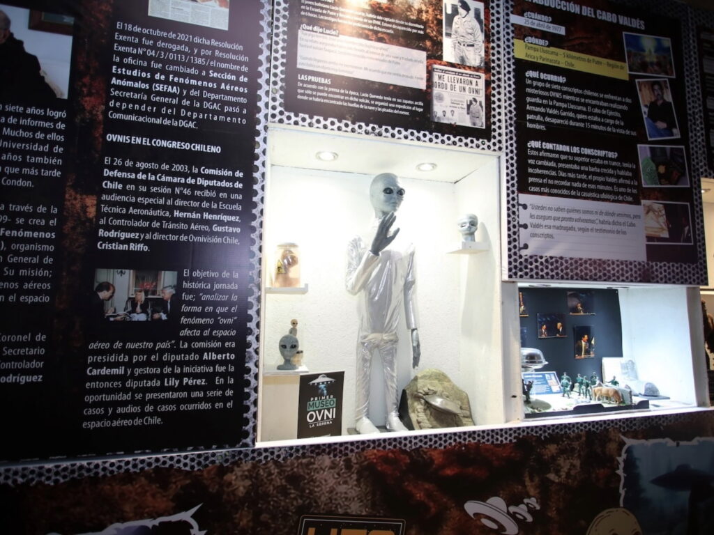 Vitrina del Museo OVNI en La Serena con una réplica de extraterrestre gris de pie junto a paneles informativos sobre casos de ufología chilena, como la abducción del Cabo Valdés y recortes de prensa de la época.