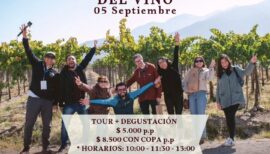 Día del Vino en la Viña Choapa