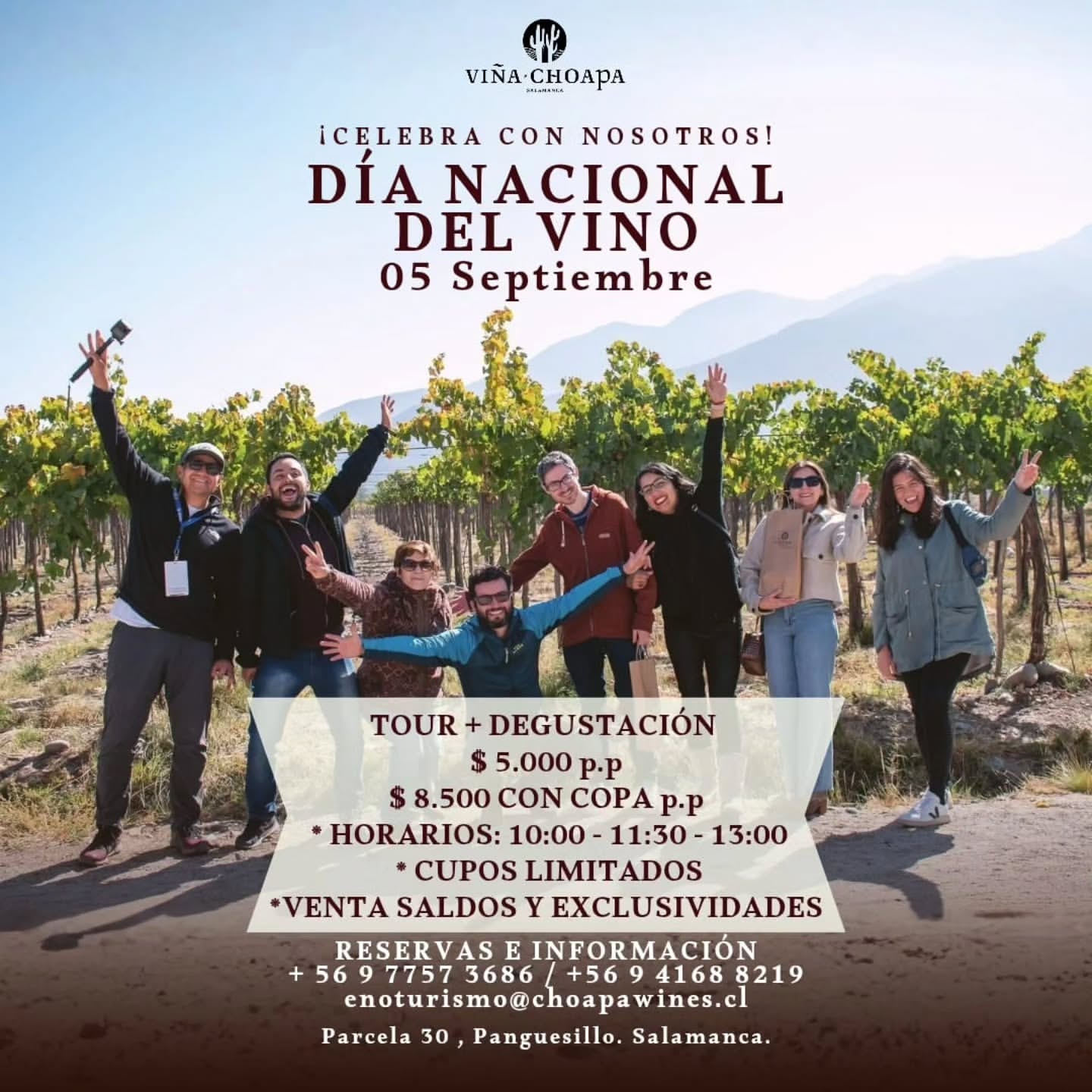 Afiche Día del Vino Valle de Choapa.