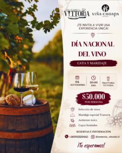 Afiche Día del Vino Valle del Choapa.
