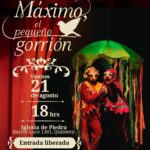 Máximo, el pequeño gorrión en Quintero