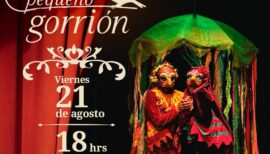 Máximo, el pequeño gorrión en Quintero