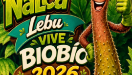 Fiesta de la Nalca 2026