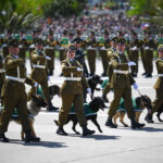 Parada Militar 2026