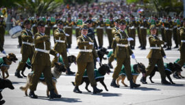 Parada Militar 2026